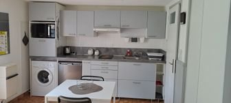 Appartement à louer, 19m², Domène