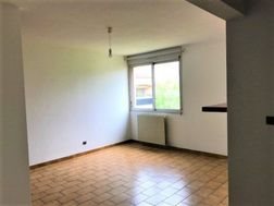 Appartement à louer, 37m², Albi