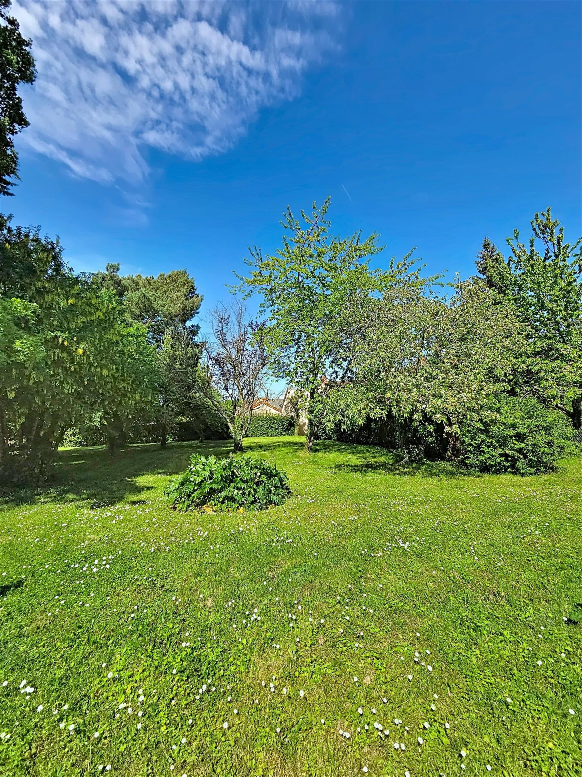 Maison à vendre, 118m², Le Pont-Chrétien-Chabenet