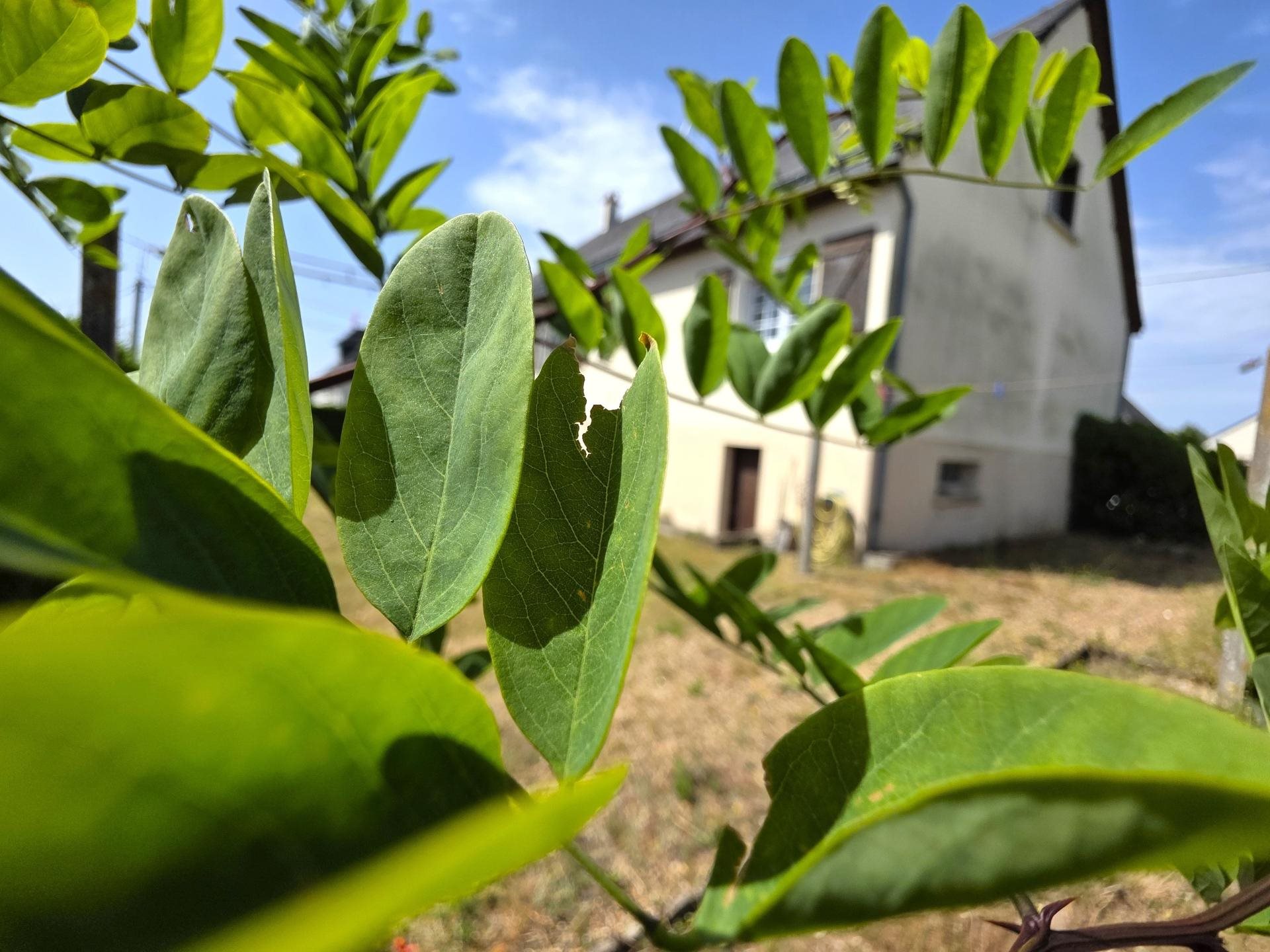 Maison à vendre, 168m², Baugé