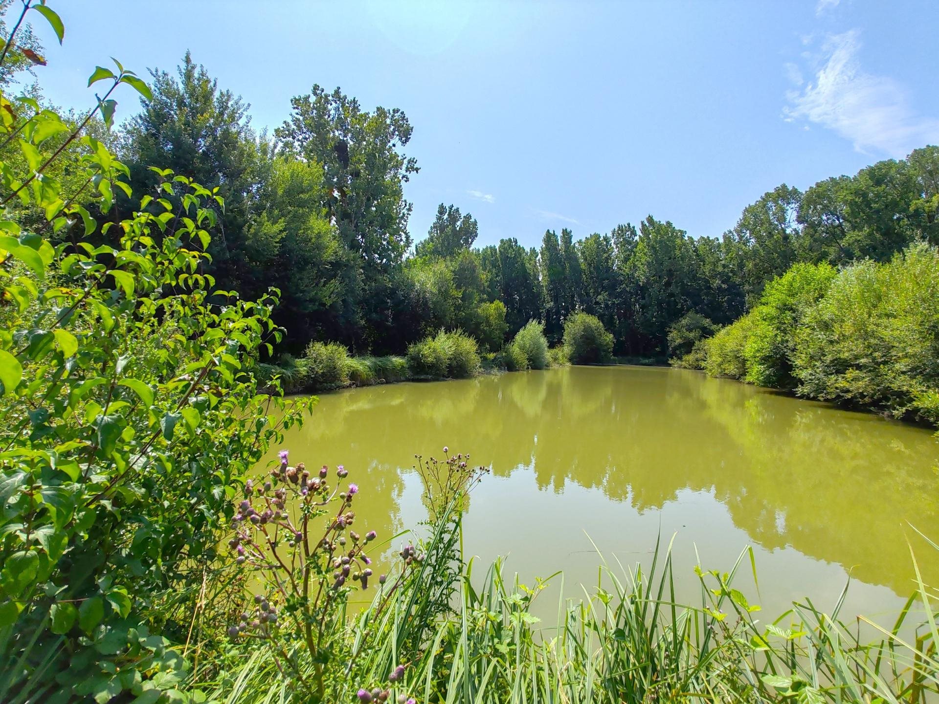 Maison à vendre, 264m², Baugé