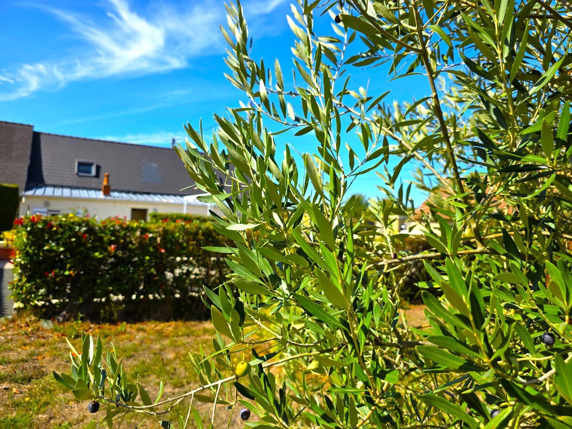 Maison à vendre, 121m², Baugé