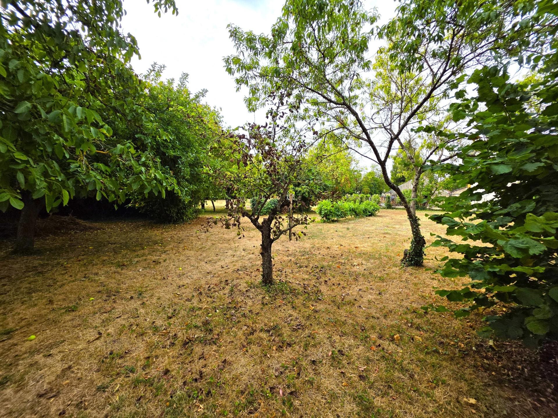 Maison à vendre, 195m², Baugé