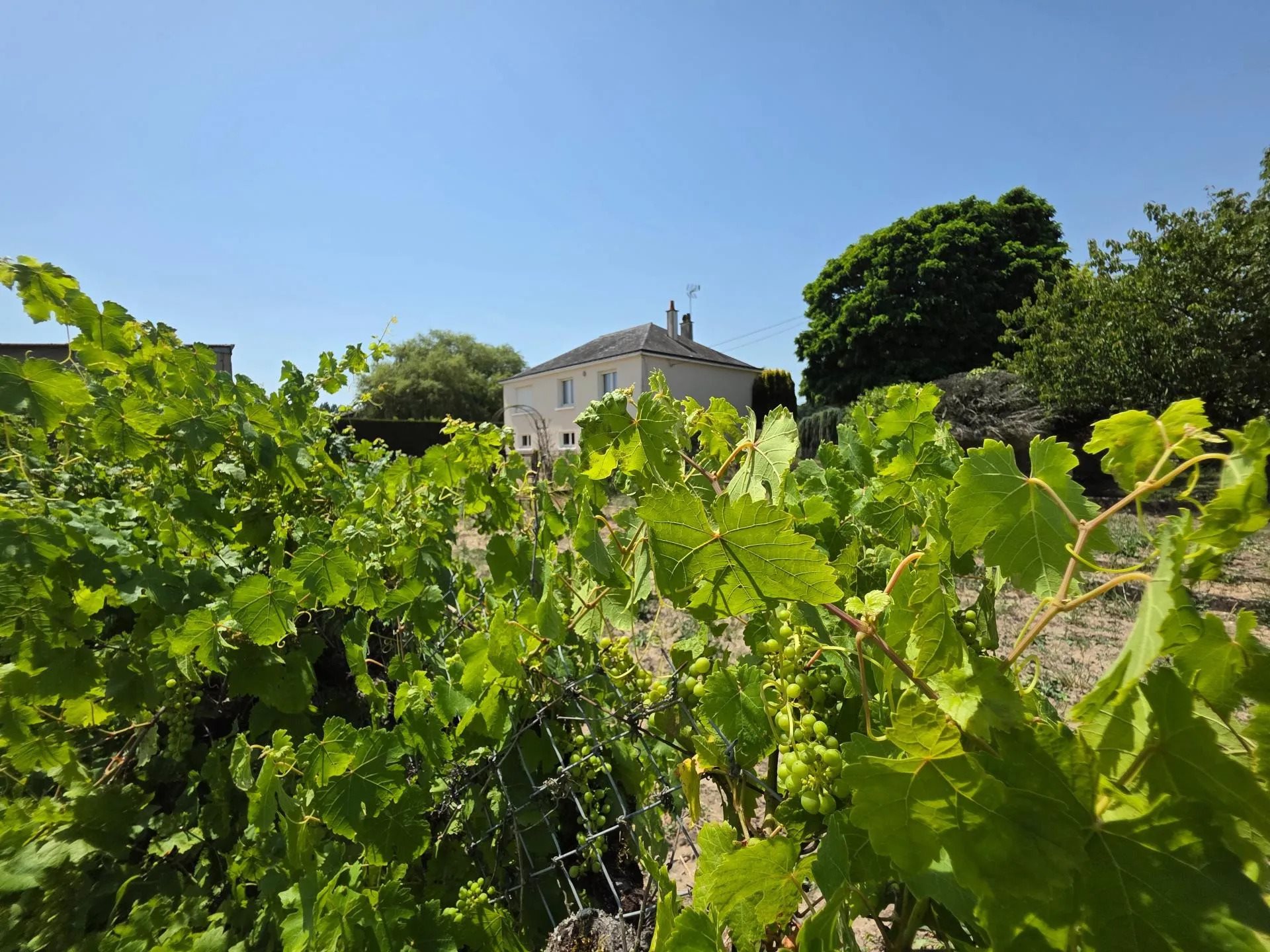 Maison à vendre, 88m², Noyant