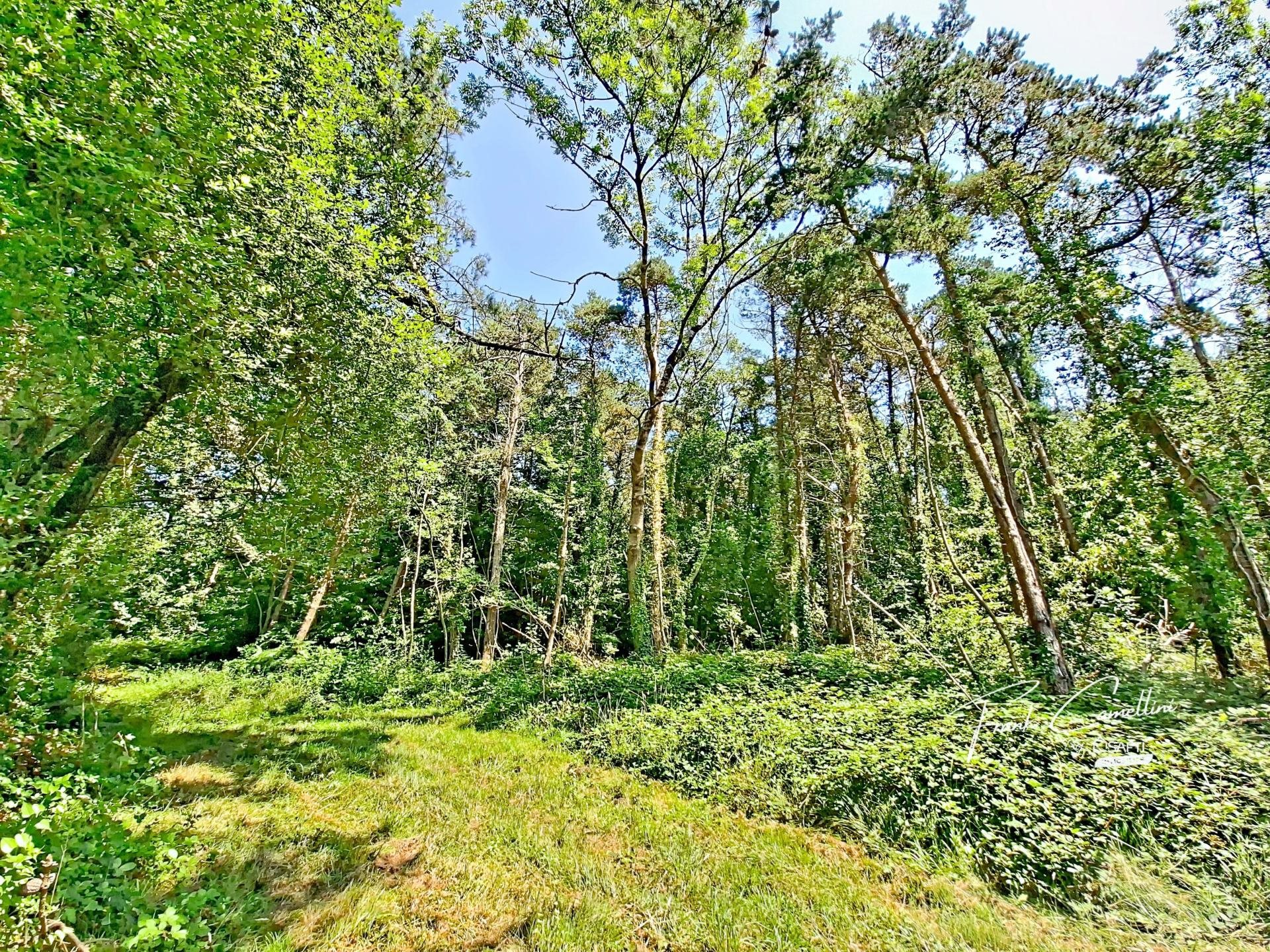 Maison à vendre, 188m², Plestin-les-Grèves