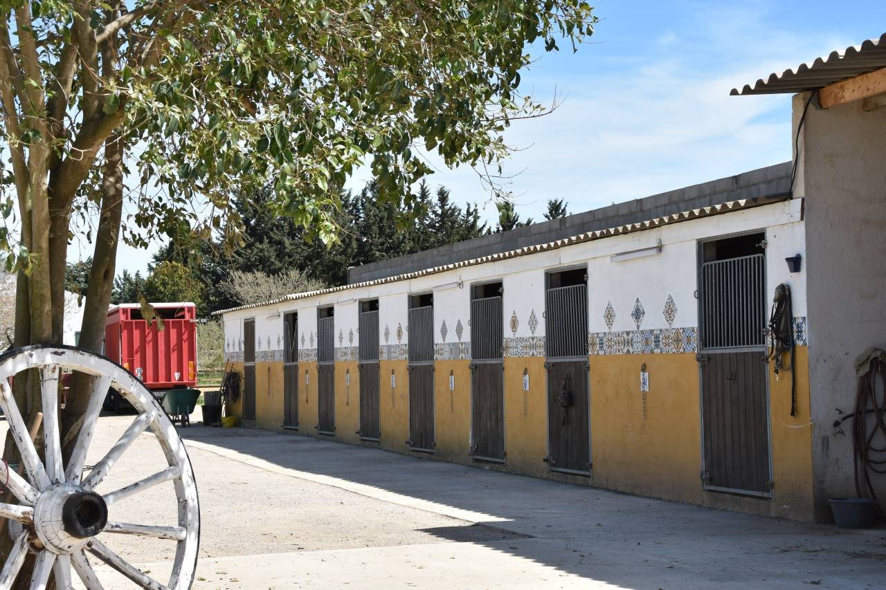Maison à vendre, 75m², Aimargues