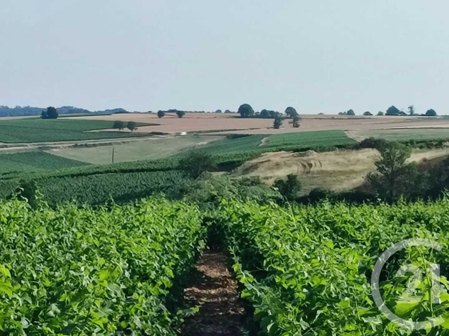 Maison à vendre, 98m², Sainte-Gemme-en-Sancerrois