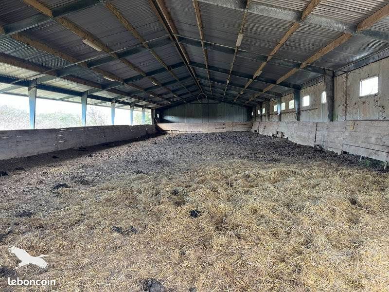 Maison à vendre, 234m², Saint-Georges-sur-Cher