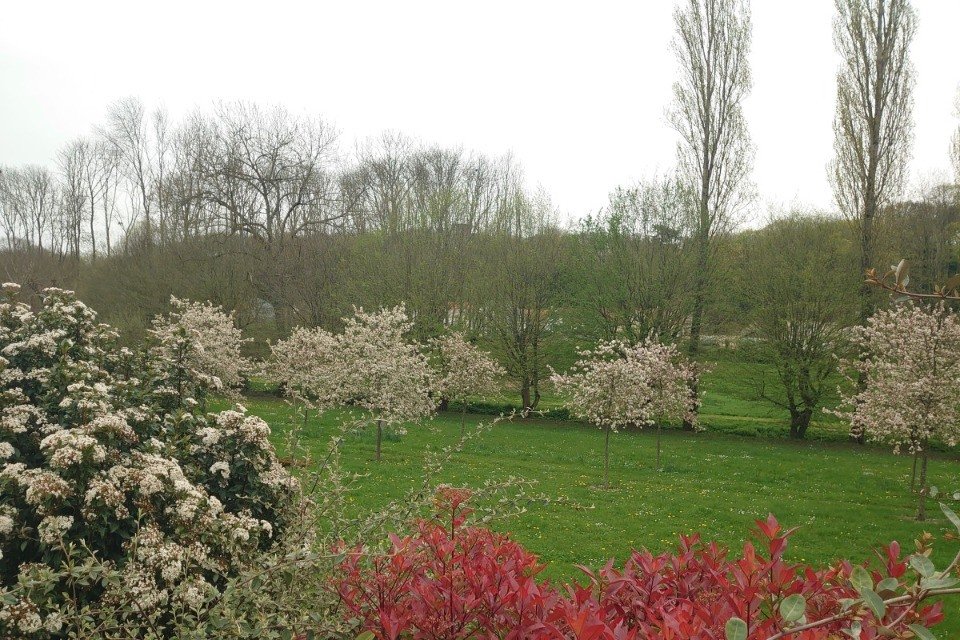 Maison à vendre, 125m², Nogent-le-Phaye