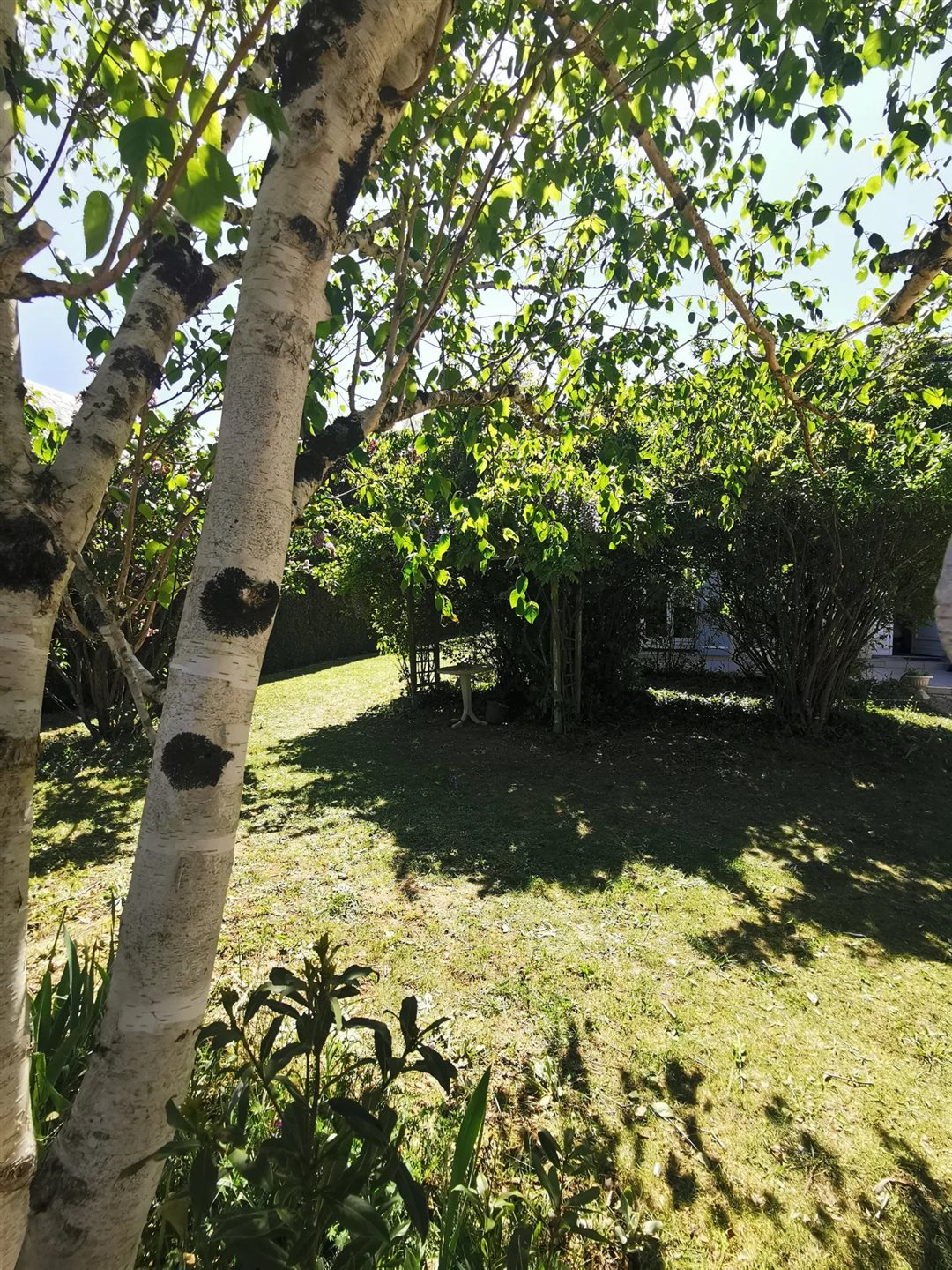 Maison à vendre, 167m², Olivet