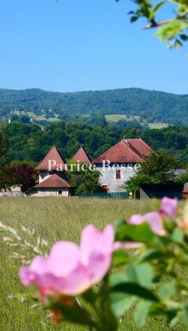Maison à vendre, 450m², Chambéry