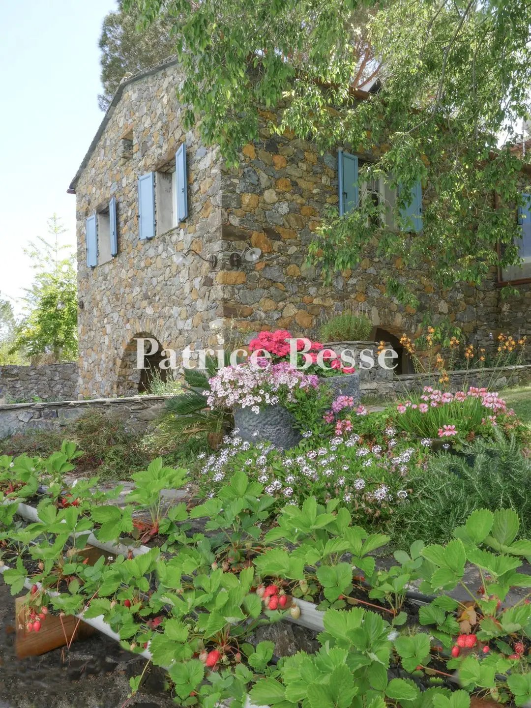 Maison à vendre, 293m², Canale-di-Verde