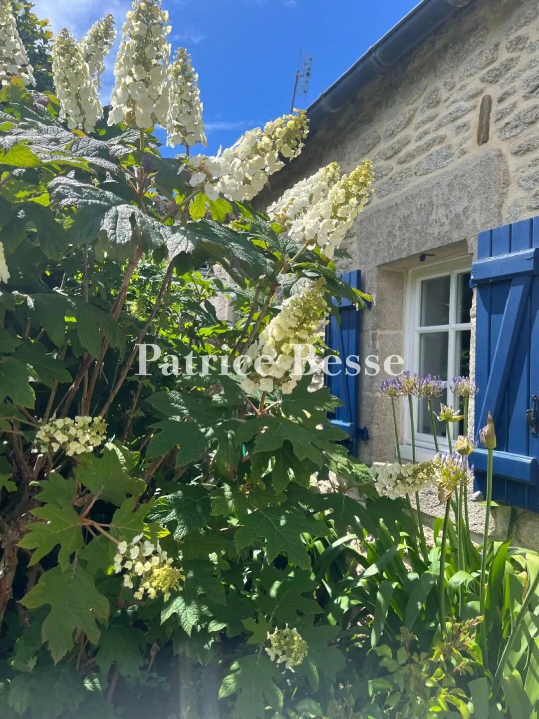 Maison à vendre, 450m², Pont-l'Abbé