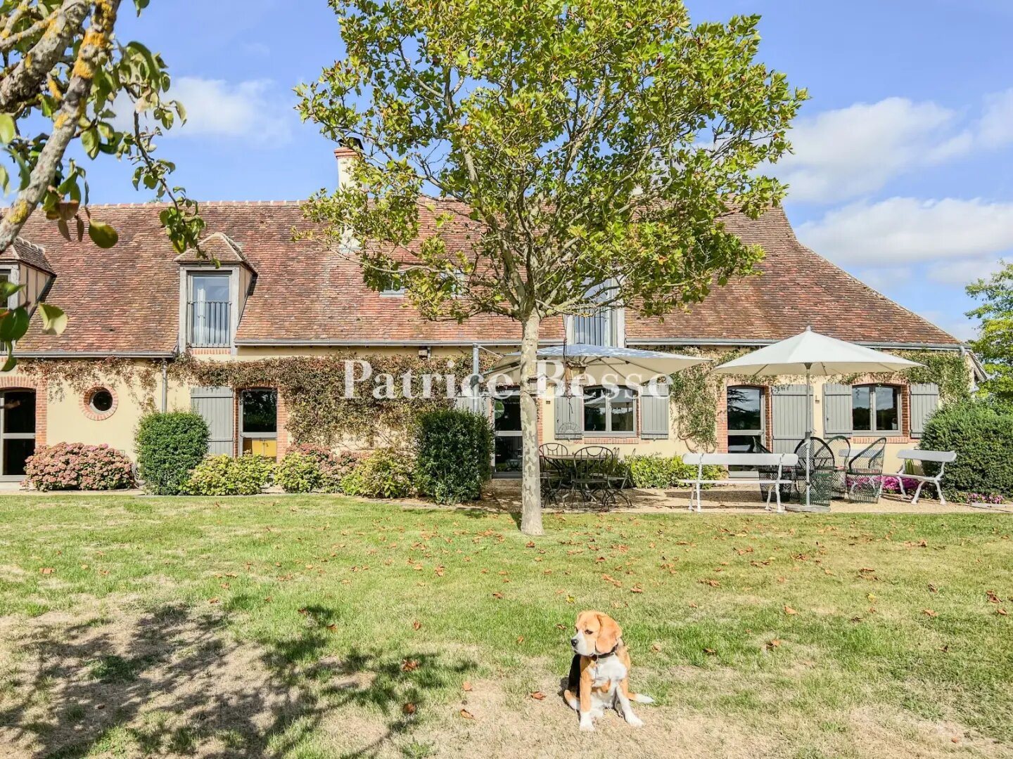Maison à vendre, 261m², Châteauneuf-en-Thymerais