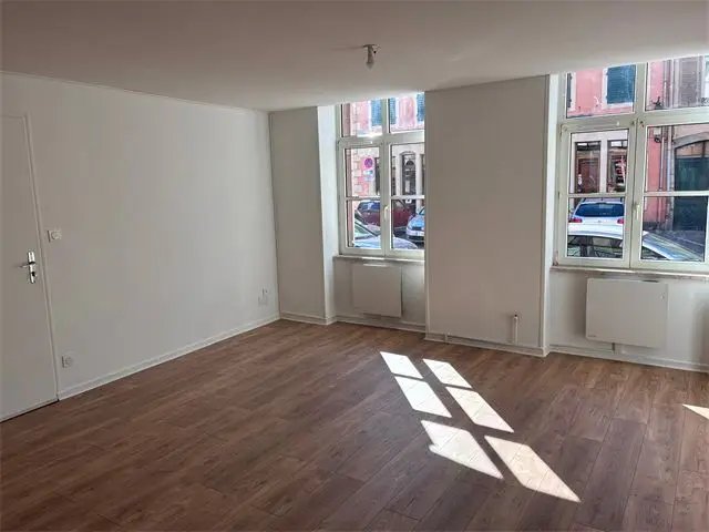 Appartement à louer, 45m², Lunéville