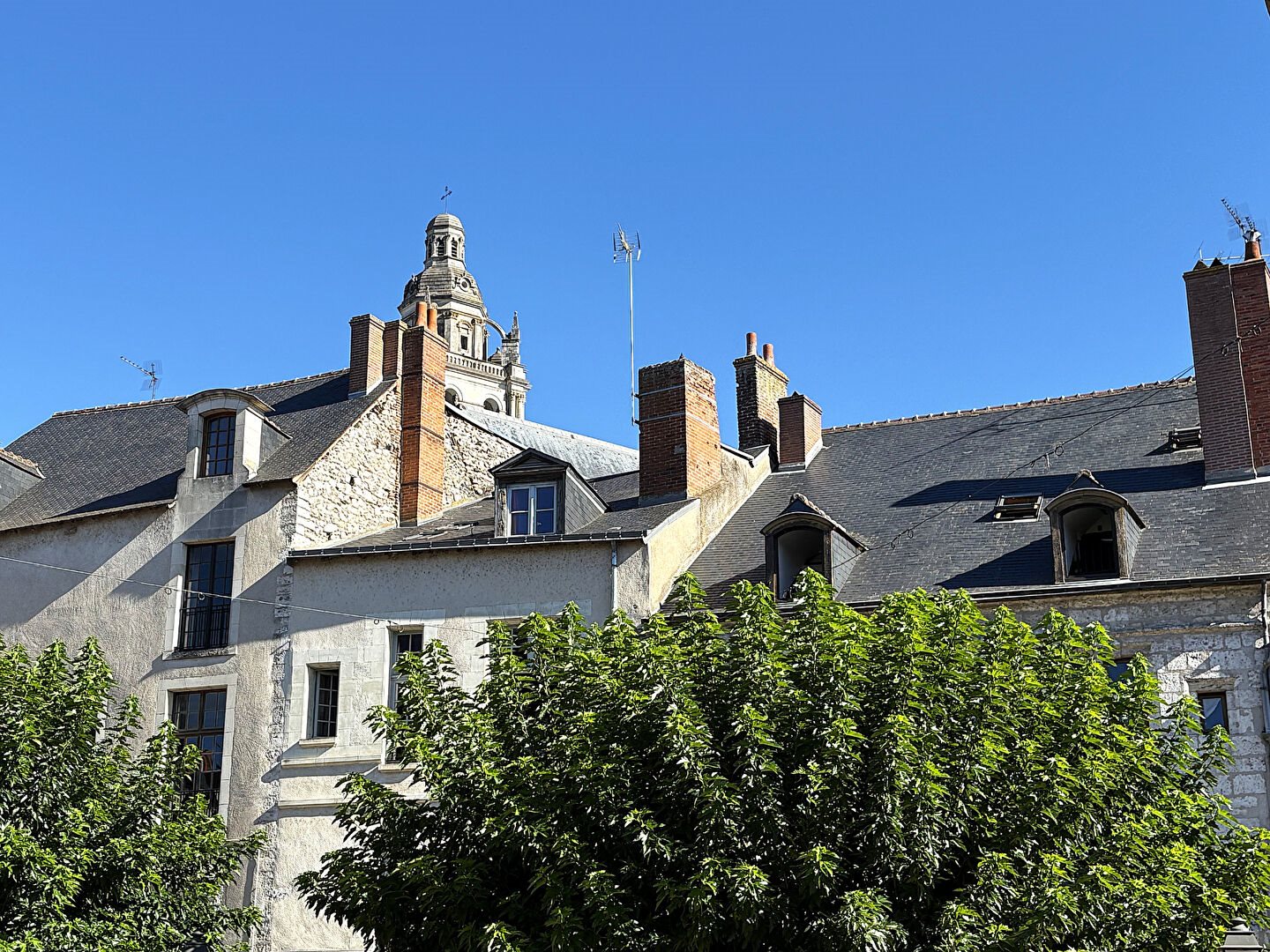 Appartement à vendre, 117m², Blois