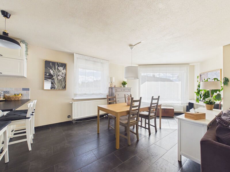 Maison à vendre, 97m², Altkirch
