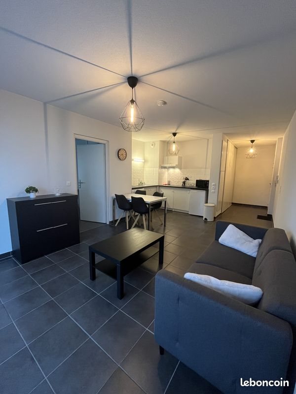 Appartement à louer, 44m², Lons