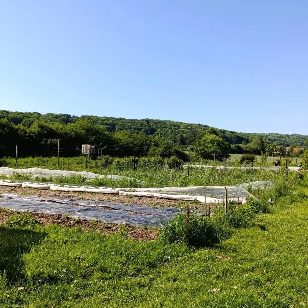 Maison à vendre, 200m², Verdelot