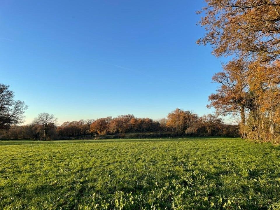 Maison à vendre, 110m², Le Poinçonnet
