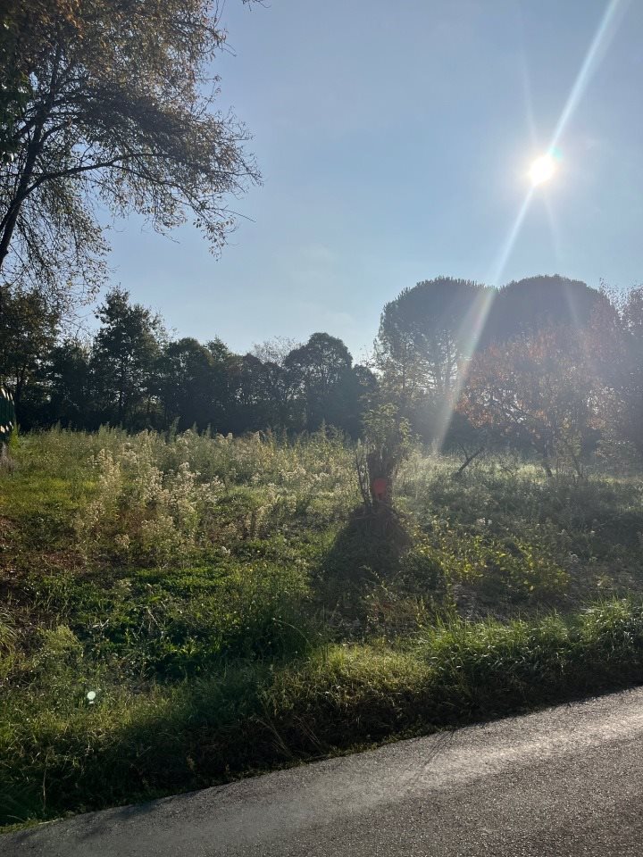 Maison à vendre, 73m², Albi