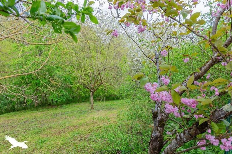 Maison à vendre, 130m², Auterive
