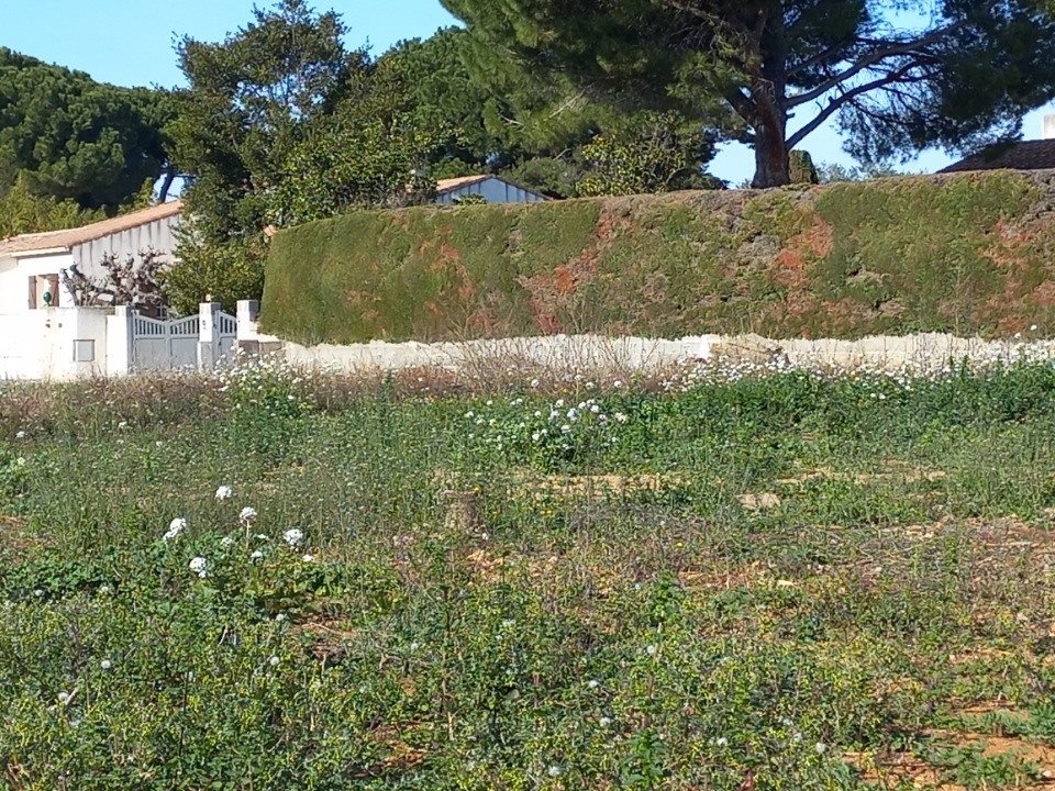 Maison à vendre, 92m², Mauguio