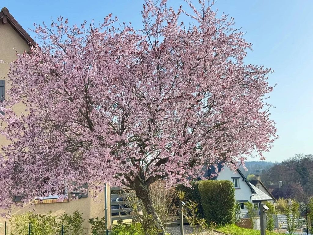 Maison à vendre, 114m², Deauville