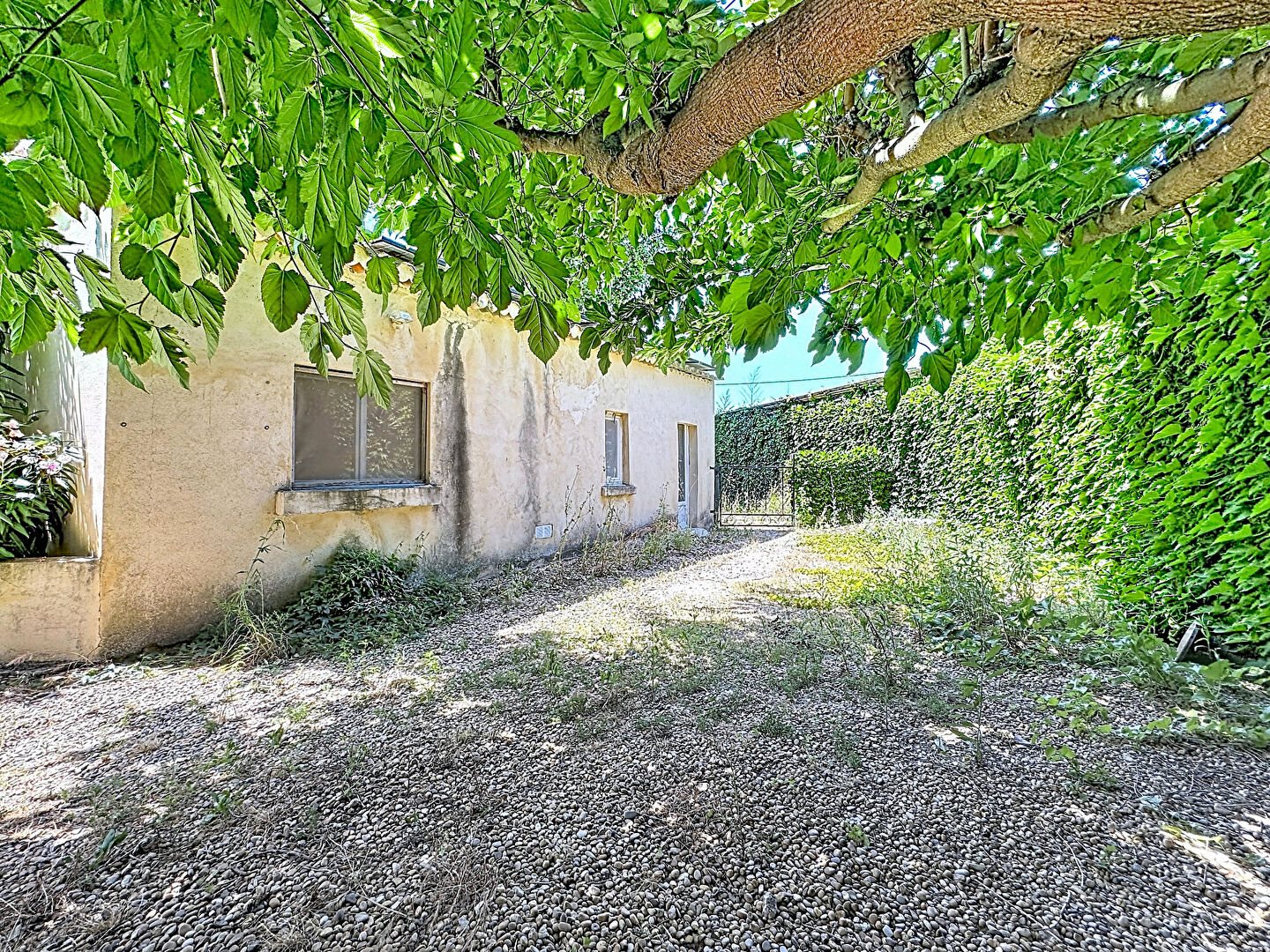 Maison à vendre, 310m², Avignon