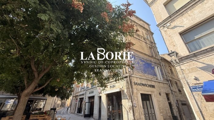 Appartement à vendre, 240m², Avignon