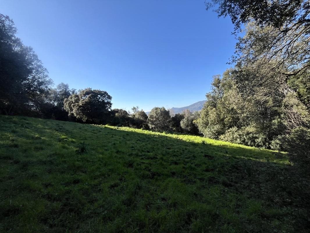 Maison à vendre, 130m², Viggianello