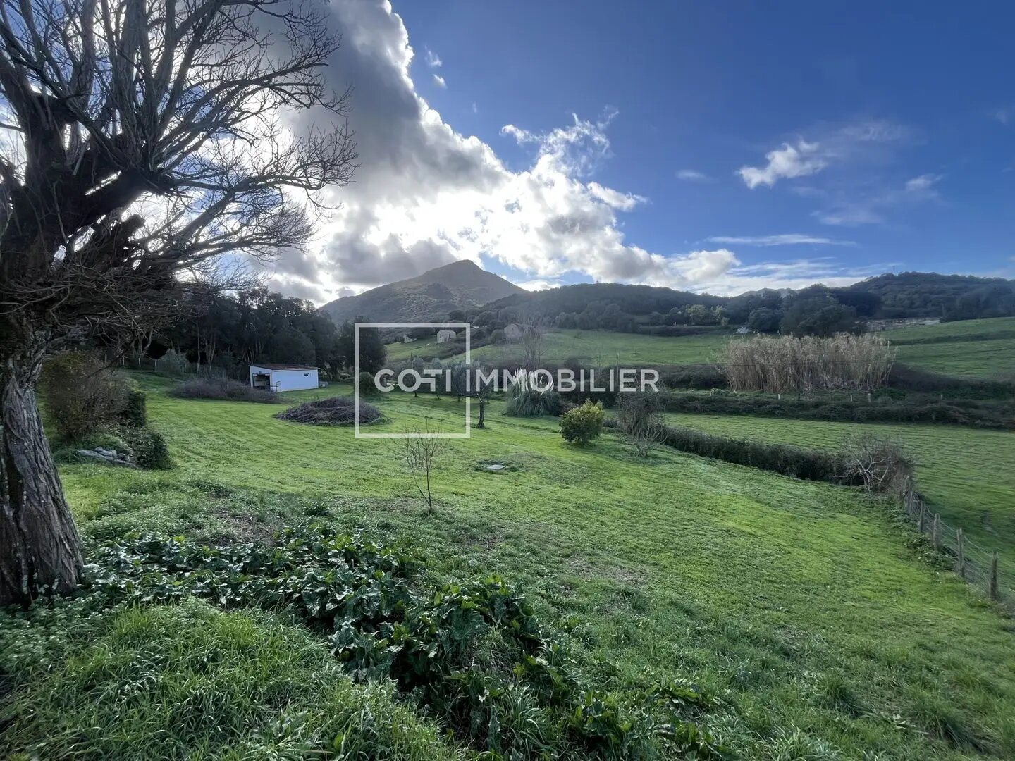 Maison à vendre, 100m², Sartène