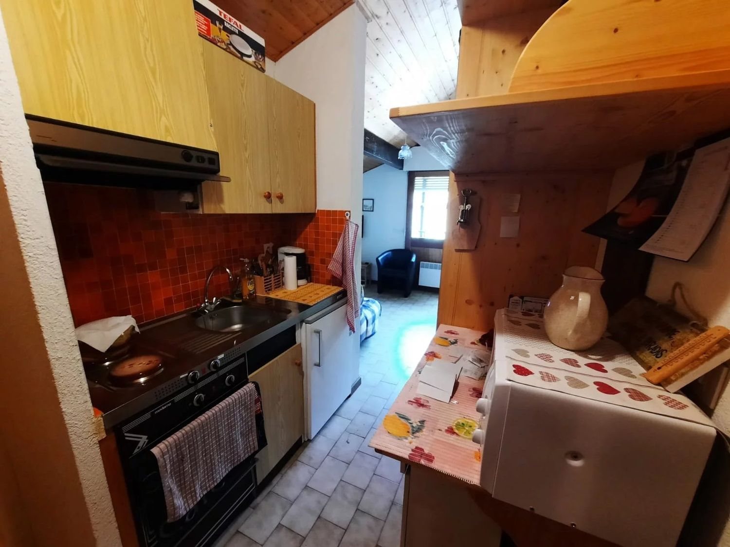 Appartement à vendre, 22m², Bellevaux (Bellevaux-Hirmentaz)