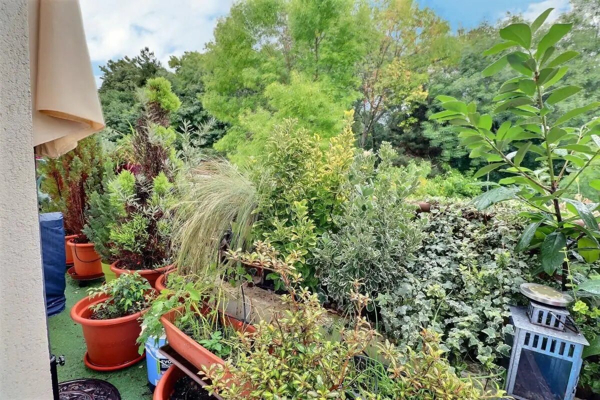 Appartement à vendre, 49m², Le Port-Marly