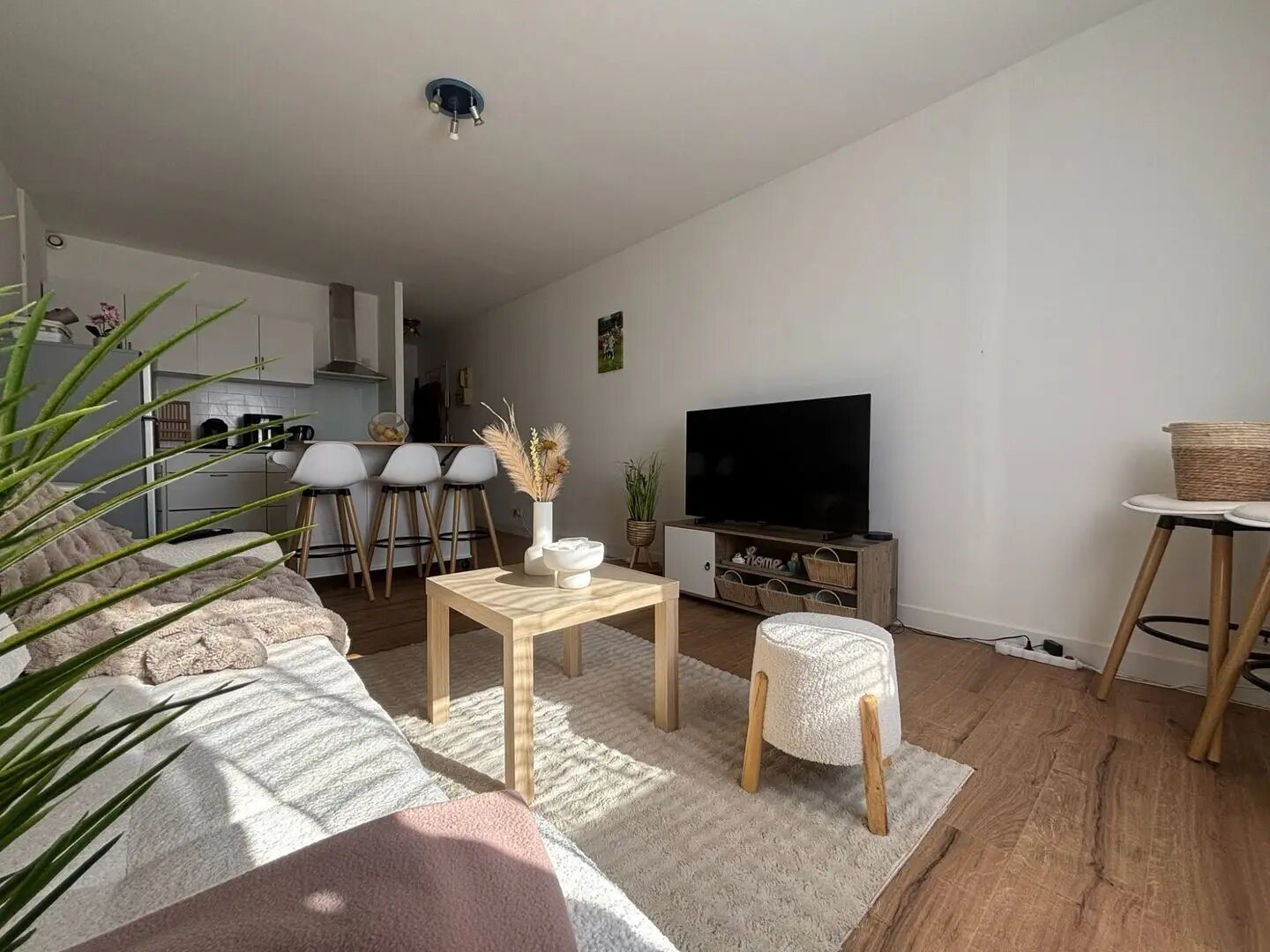 Appartement à vendre, 28m², Saintry-sur-Seine