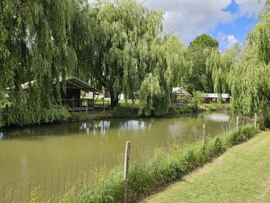 Maison à vendre, 585m², Villeneuve-sur-Lot