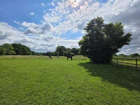 Maison à vendre, 516m², Villeréal