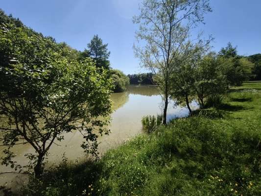Maison à vendre, 430m², Bressuire