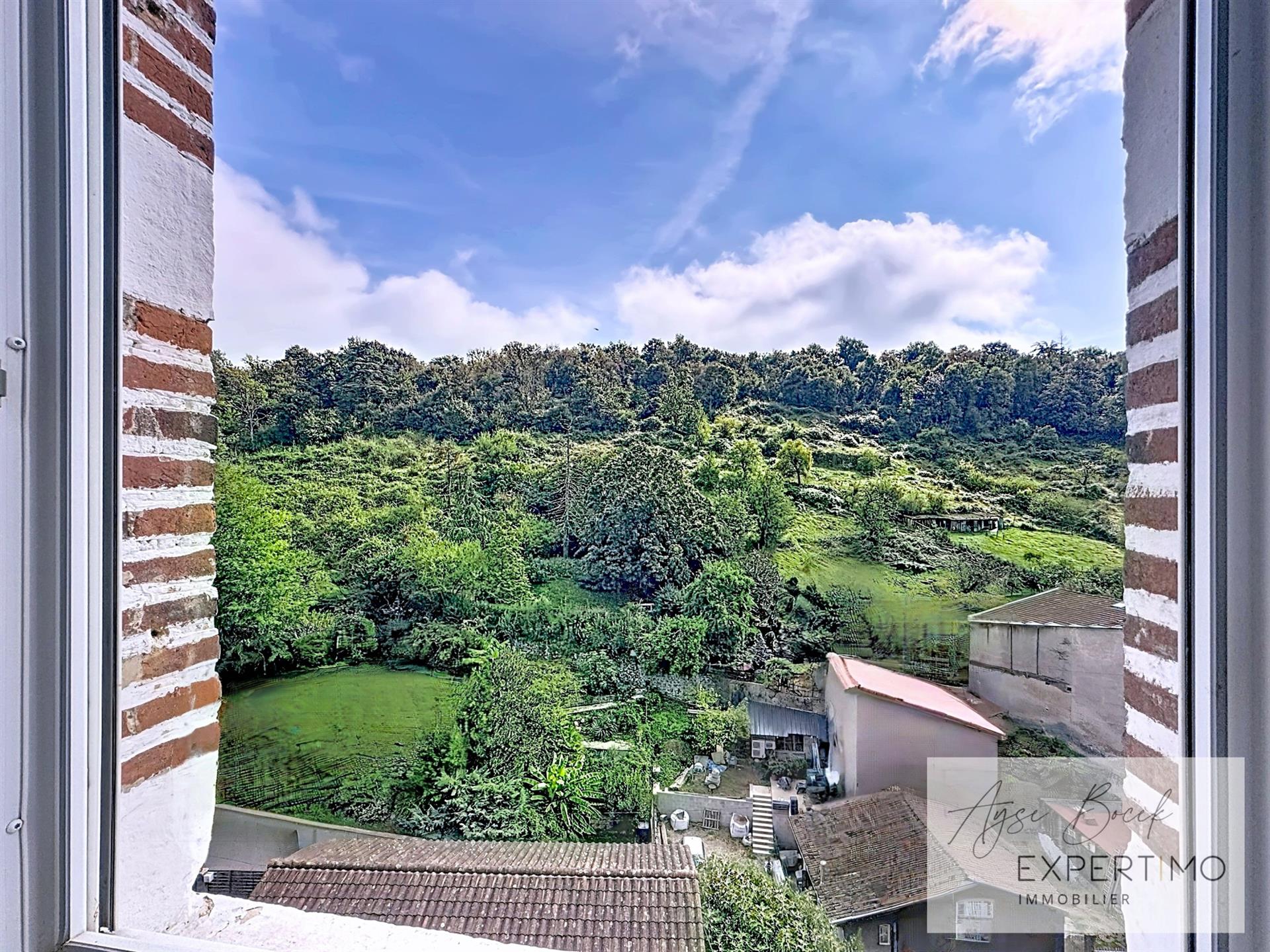 Maison à vendre, 235m², Vienne