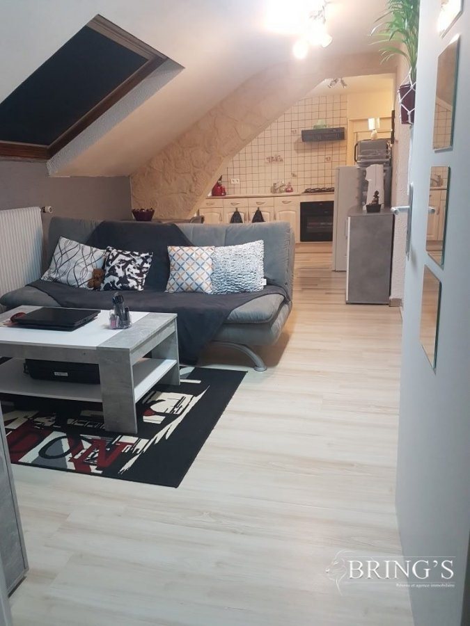 Appartement à vendre, 25m², Remiremont