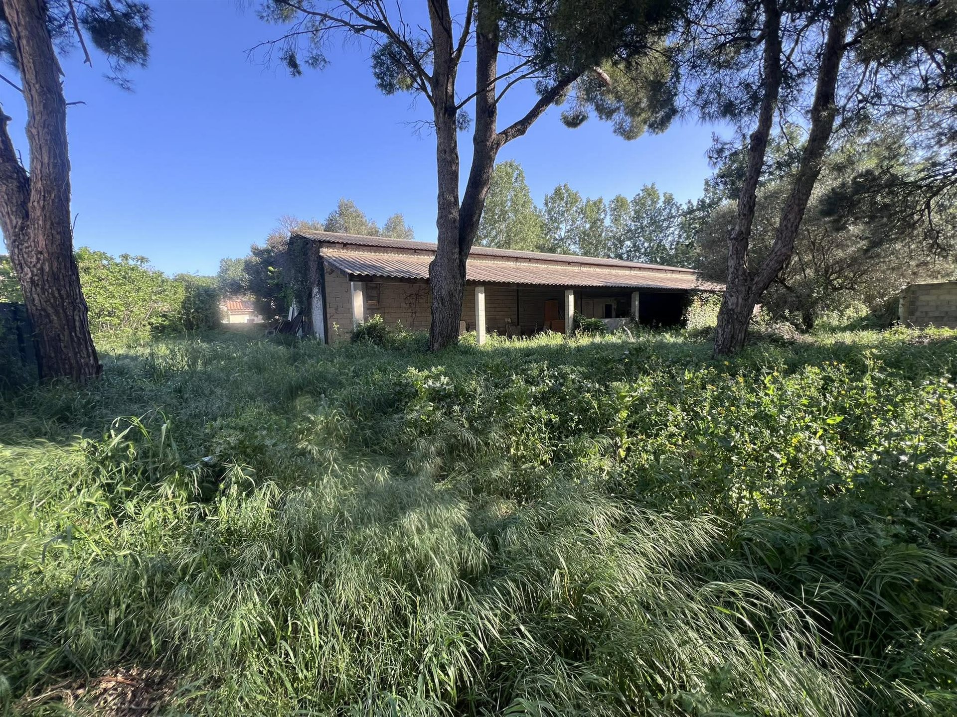 Maison à vendre, 300m², Arles