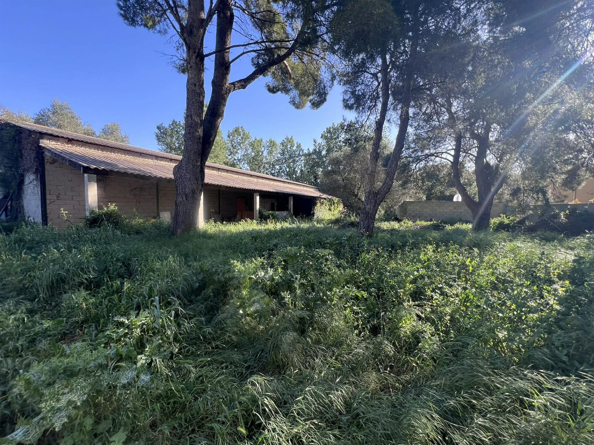 Maison à vendre, 300m², Arles