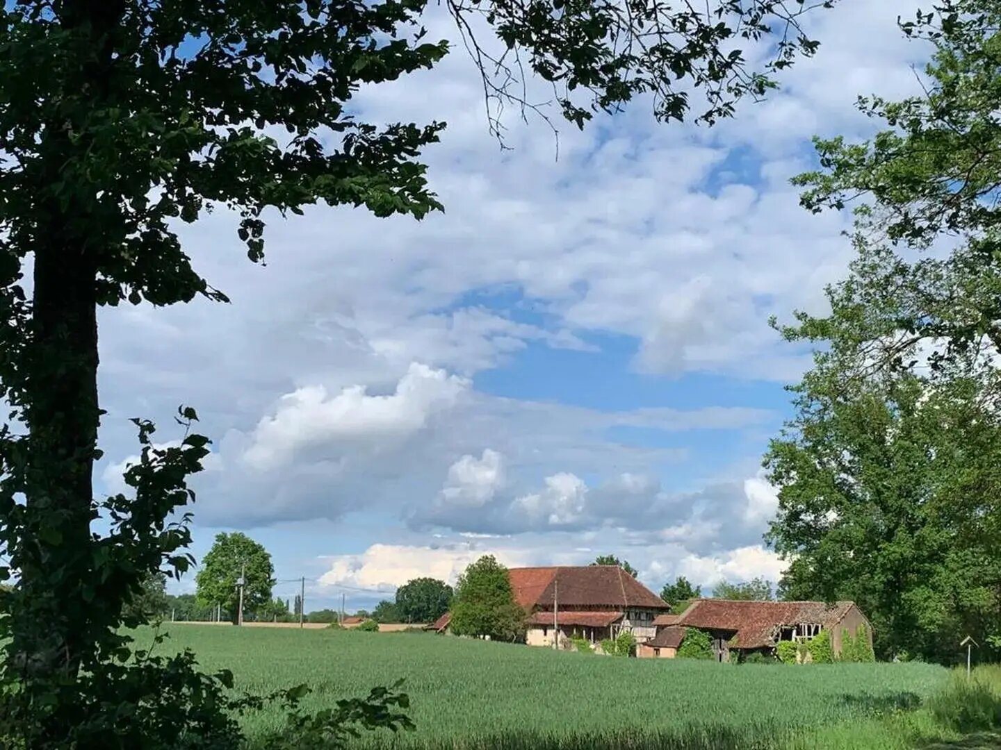 Maison à vendre, 440m², Montpont-en-Bresse