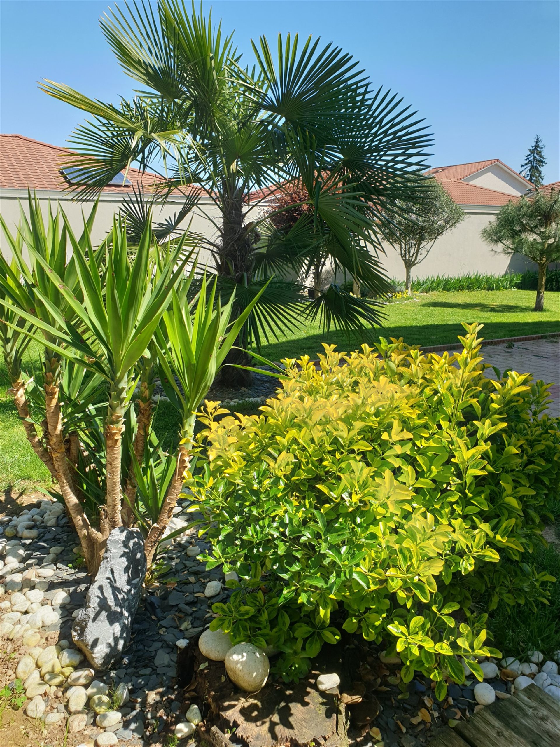 Maison à vendre, 165m², Chavanoz