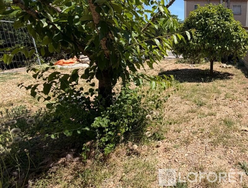 Appartement à louer, 38m², Frontignan