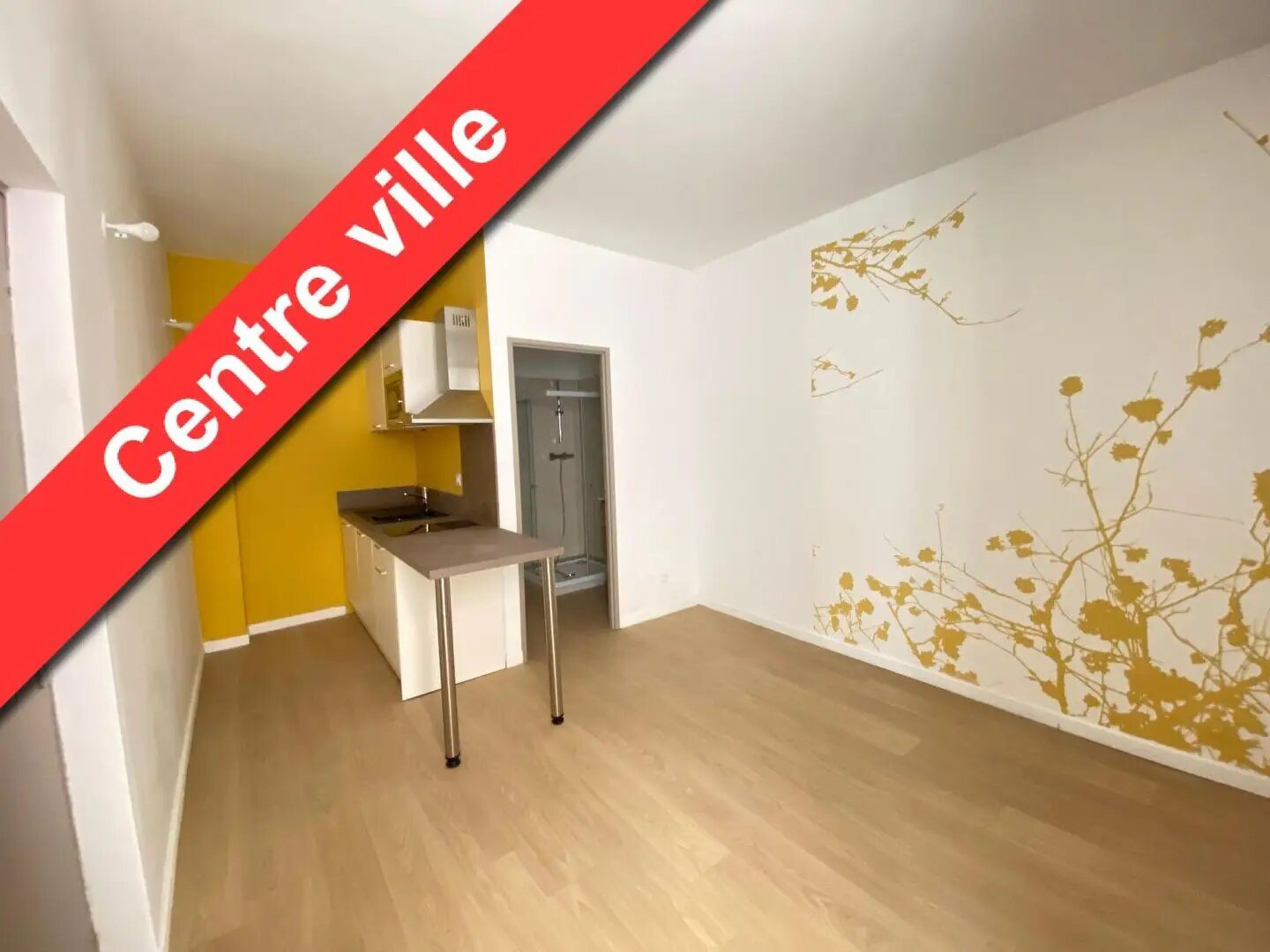 Appartement à louer, 16m², Nîmes