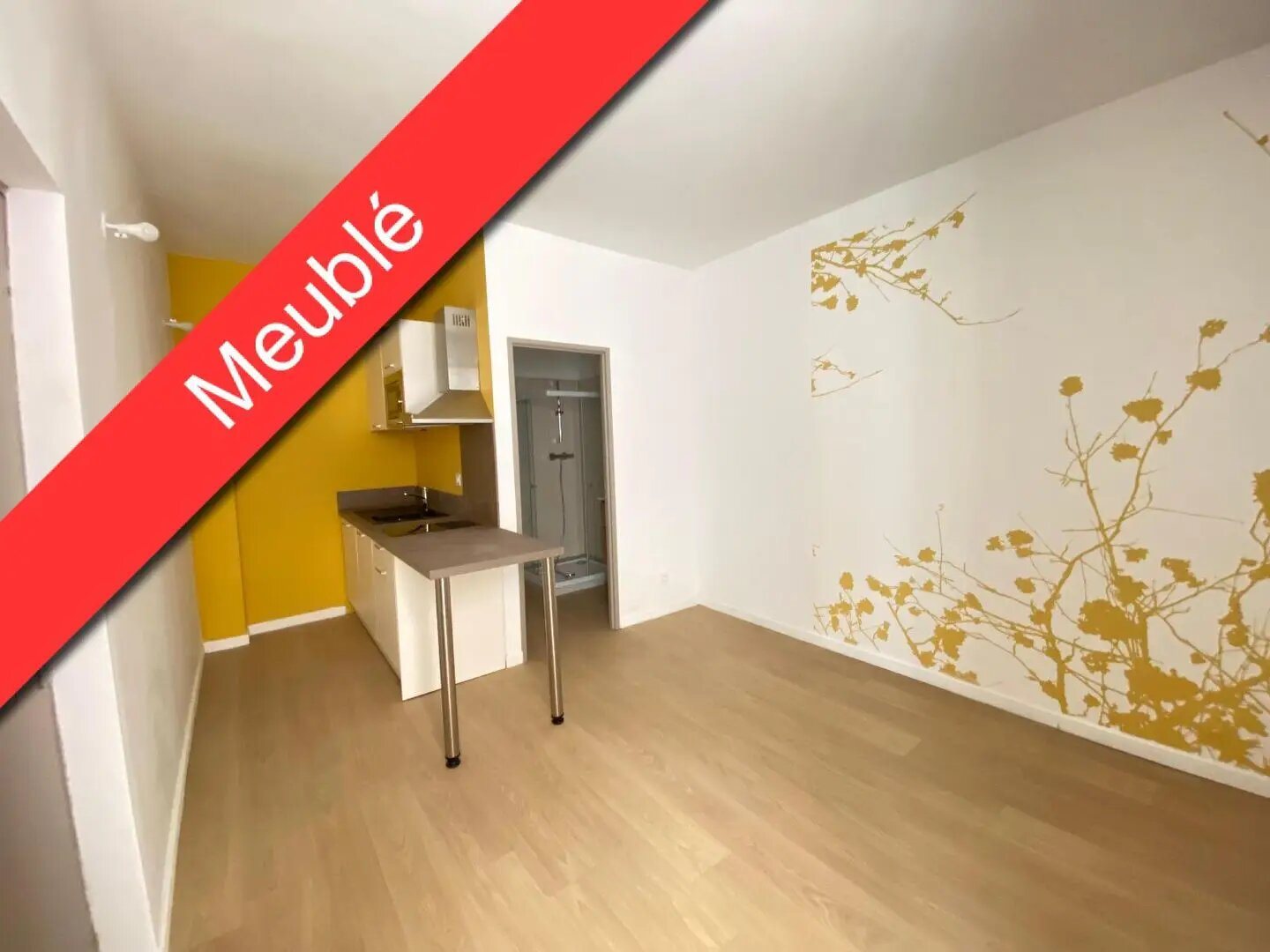 Appartement à louer, 17m², Nîmes