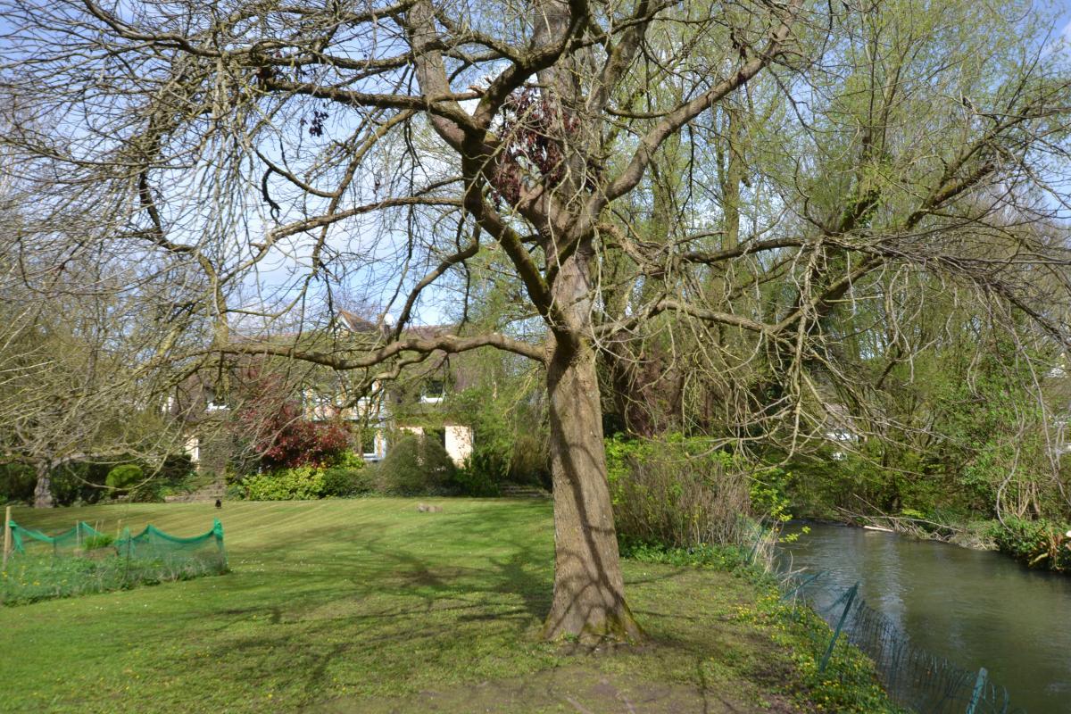 Maison à vendre, 230m², Cany-Barville