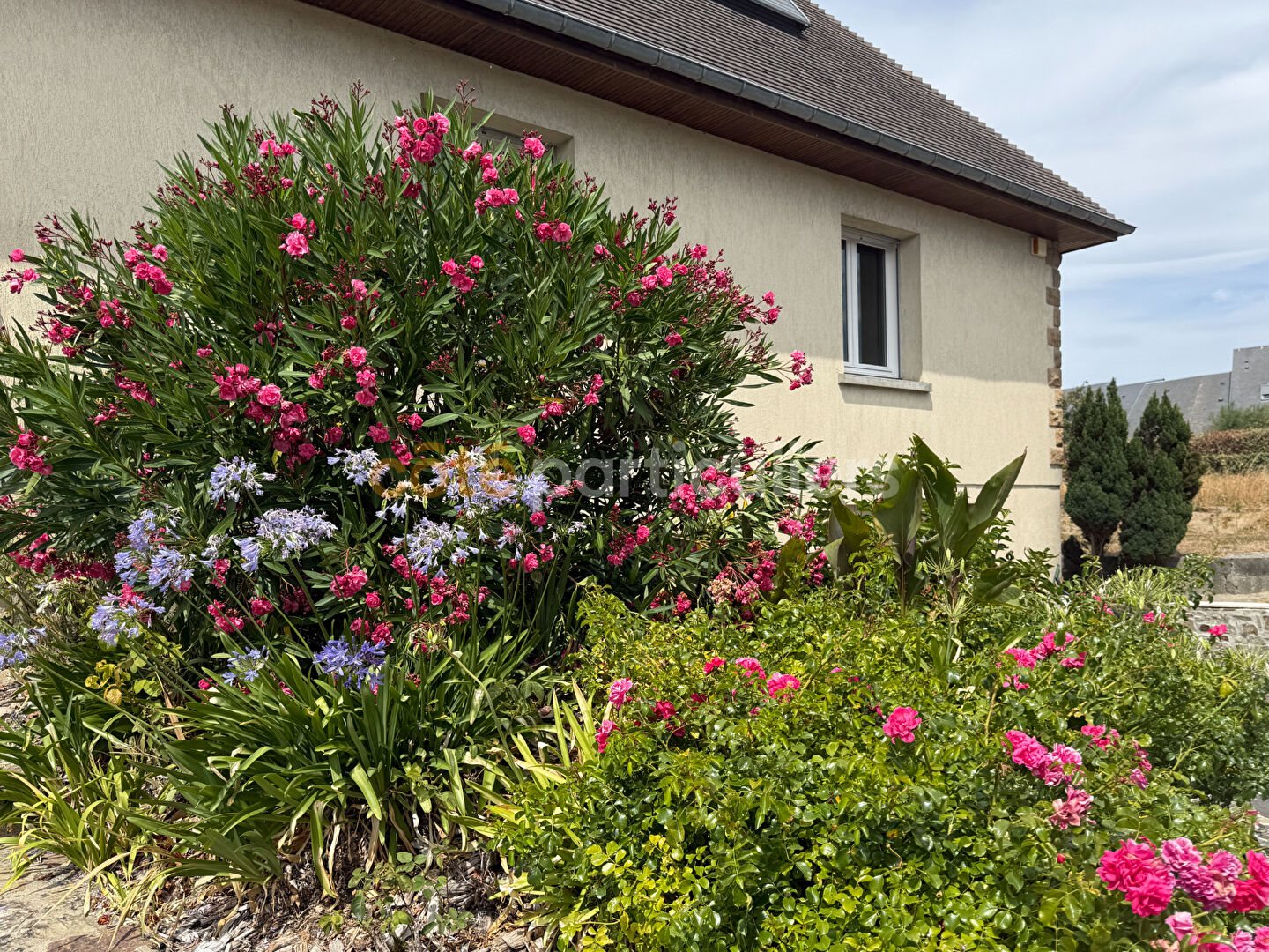 Maison à vendre, 135m², Saint-Pair-sur-Mer