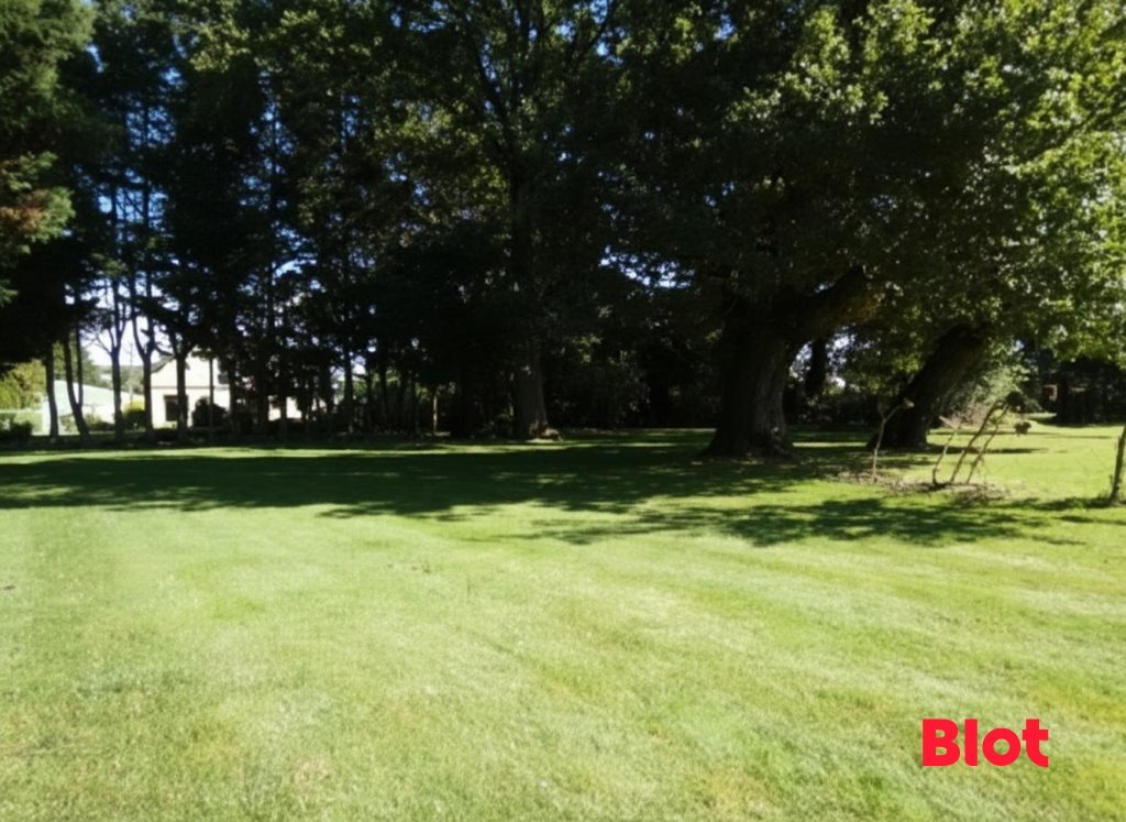 Maison à vendre, 150m², Guipry